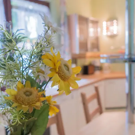 Ferienhus 01 Mit Gratis Nutzung Vom Ahoi Erlebnisbad Und Sauna In Sellin Бабе