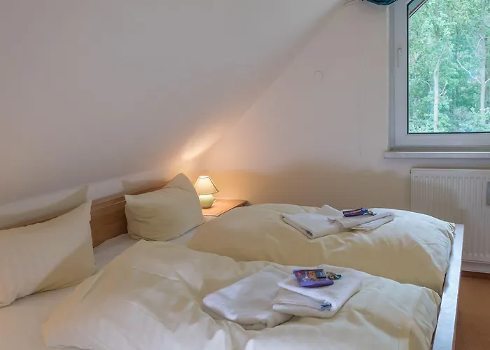 Ferienhus 01 Mit Gratis Nutzung Vom Ahoi Erlebnisbad Und Sauna In Sellin Appartement