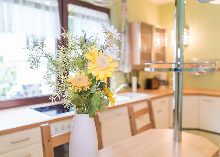 Appartement Ferienhus 01 Mit Gratis Nutzung Vom Ahoi Erlebnisbad Und Sauna In Sellin Baabe